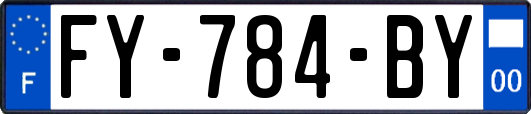 FY-784-BY