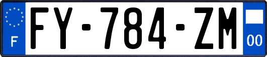 FY-784-ZM