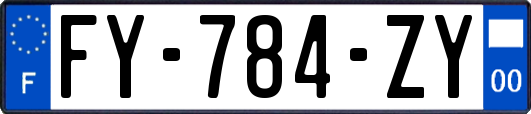 FY-784-ZY