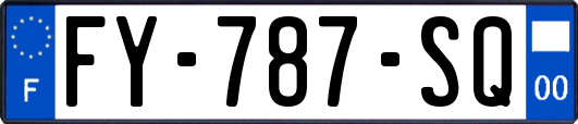 FY-787-SQ