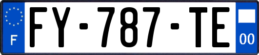 FY-787-TE