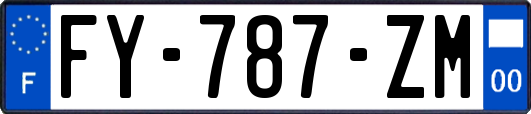 FY-787-ZM