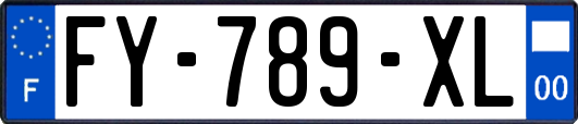 FY-789-XL