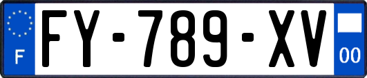 FY-789-XV
