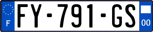 FY-791-GS