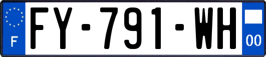 FY-791-WH