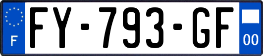 FY-793-GF