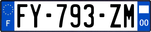 FY-793-ZM