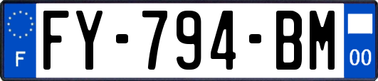 FY-794-BM