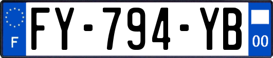 FY-794-YB