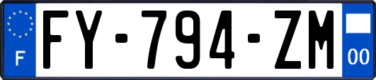 FY-794-ZM