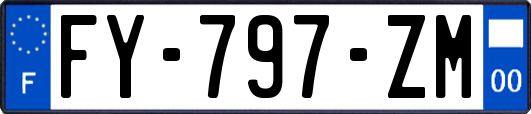 FY-797-ZM