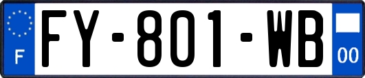 FY-801-WB