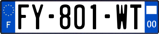 FY-801-WT