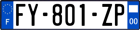 FY-801-ZP