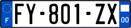 FY-801-ZX