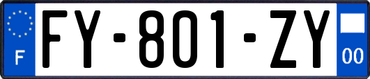 FY-801-ZY