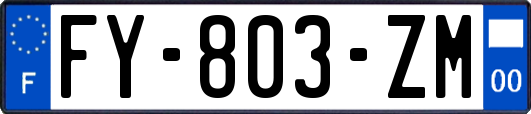 FY-803-ZM