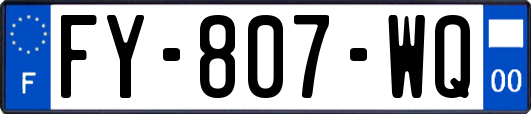 FY-807-WQ