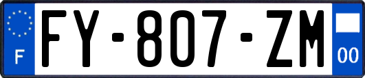 FY-807-ZM