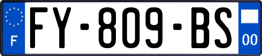 FY-809-BS
