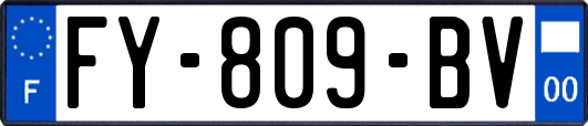 FY-809-BV