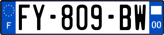 FY-809-BW
