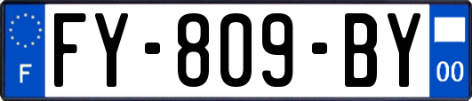 FY-809-BY