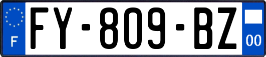 FY-809-BZ