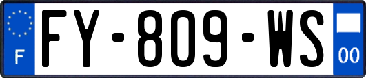 FY-809-WS