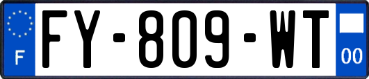 FY-809-WT