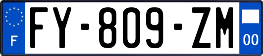 FY-809-ZM
