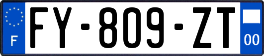 FY-809-ZT
