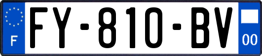 FY-810-BV
