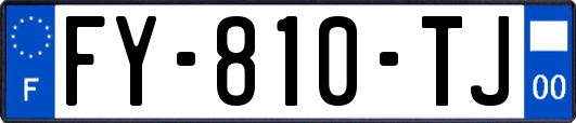 FY-810-TJ