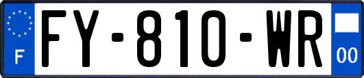FY-810-WR