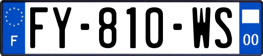 FY-810-WS