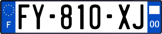 FY-810-XJ
