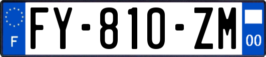 FY-810-ZM
