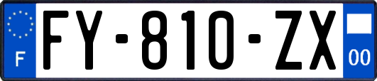 FY-810-ZX