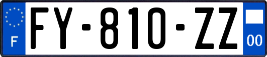 FY-810-ZZ