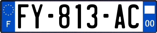 FY-813-AC