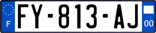 FY-813-AJ