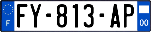 FY-813-AP