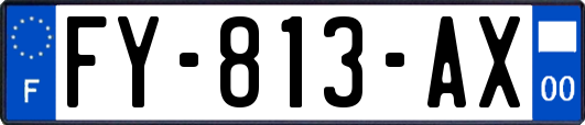 FY-813-AX