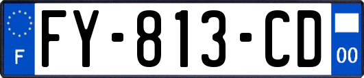 FY-813-CD