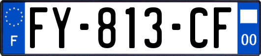 FY-813-CF