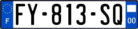 FY-813-SQ