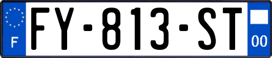 FY-813-ST