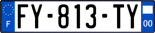 FY-813-TY
